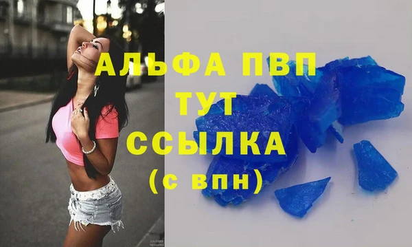 сатива Волоколамск