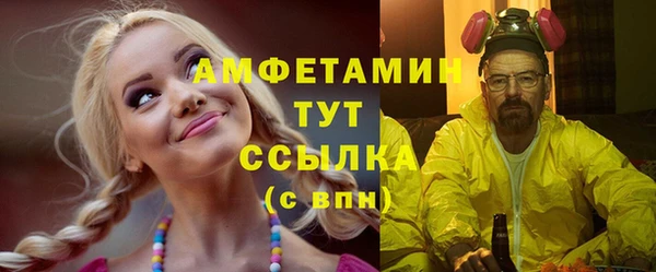 сатива Волоколамск
