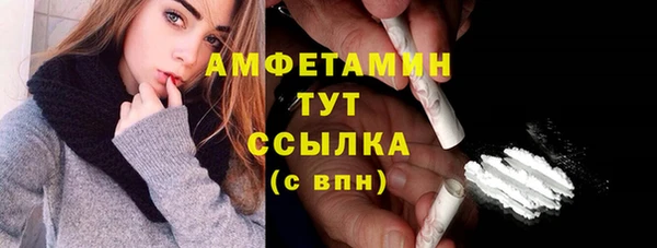 PSILOCYBIN Волосово