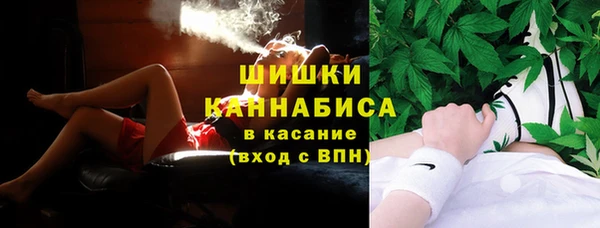сатива Волоколамск