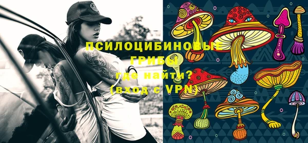 сатива Волоколамск