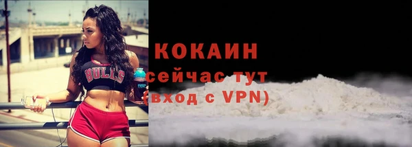 сатива Волоколамск