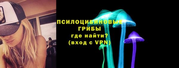 сатива Волоколамск