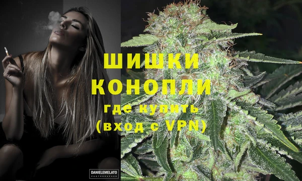 PSILOCYBIN Волосово