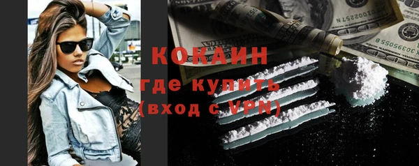 PSILOCYBIN Волосово