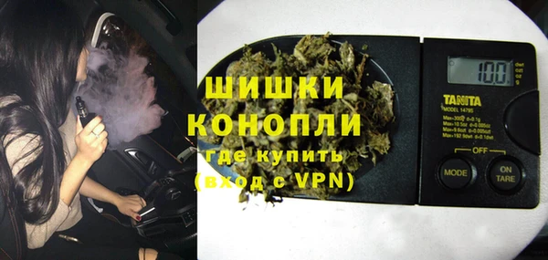 сатива Волоколамск