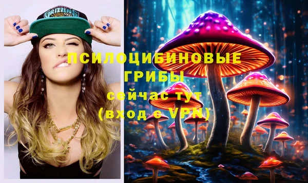 PSILOCYBIN Волосово